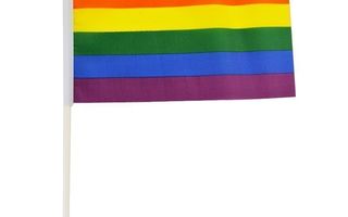 Sateenkaari lippu - Rainbow flag UUSI koko 14 cm x 21 cm