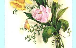 Vanha kortti: Narsissit ja tulppaanit, -40