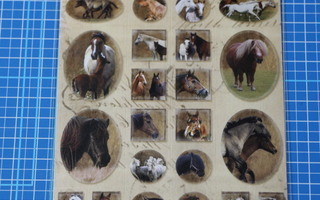 Tarra-arkki: hevoset
