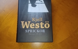 Kjell Westö - Sprickor : valda texter 1986-2011