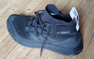 Adidas Terrex 420 Goretex maastojuoksukengät