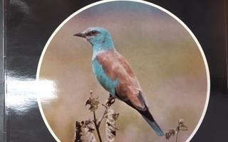 Peterson Field Guide To The Bird Songs - Record 6 LP