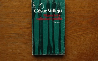 Cesar Vallejo - Musta kivi valkoisen päällä (runokirja)