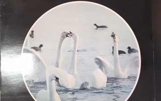 Peterson Field Guide To The Bird Songs - Record 1 LP