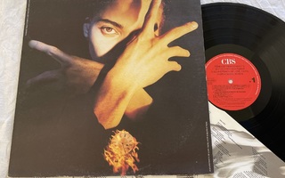 Terence Trent D'Arby – Neither Fish Nor Flesh (LP + sisäpus)
