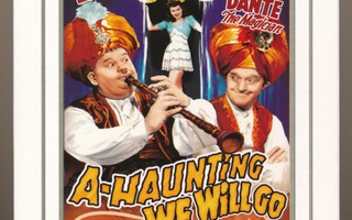 A-Haunting We Will Go (Taitamattomat taikurit) -DVD (suomi)