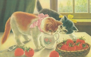 Kissat ja mansikat