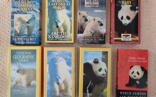 Panda- ja jääkarhudokumentteja (VHS)