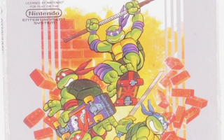 Teenage Mutant Hero Turtles II: The Arcade Game