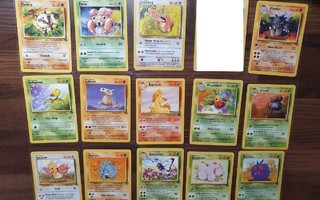 Pokemon Jungle kortteja Yksittäin myynnissä