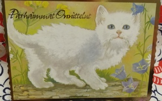 Inkeri Vehmaa:Kissa kortti vanha,käyttämätön.