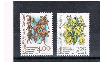Grönlanti 1995 - Orkidea (2)  ++