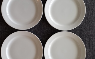 GUSTAVSBERG 4kpl valkoiset matalat lautaset 24,5cm