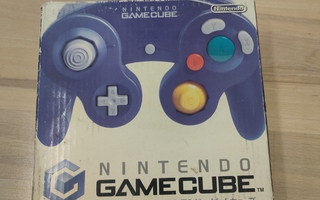 Nintendo GameCube: Indigo