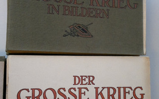 Der Grosse Grieg in bildern 1-36 (1915-1918) kangaspäälly...