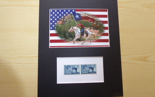 Texas hevonen valokuva ja postimerkit paspiksessa
