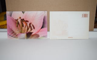 postikortti kukka