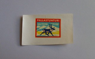 PALLASTUNTURI Vesisiirtokuva