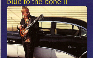 Dave Stryker: Blue To The Bone II (1999) CD