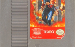 Ninja Gaiden