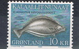 Grönlanti 1985 - Ruijanpallas  ++