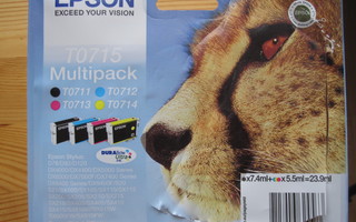 Epson tulostin musteet, 6 kpl, T-sarjaa