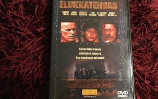 ELUKKATEHDAS *DVD*