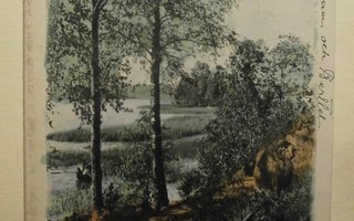 Haapaniemi, järvenrantamaisemaa, veneiljät, väripk, p. 1904