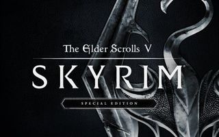 Elder Scrolls V Skyrim Special Edition PS4 (Käyt