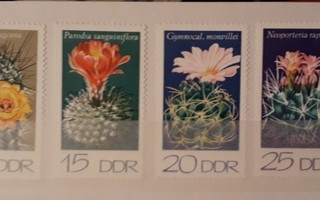 DDR 1974 - Kaktuksia (6)  ++