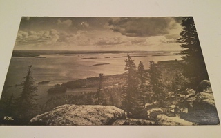 Lieksa - Koli. Mv kortti kulkenut 1946