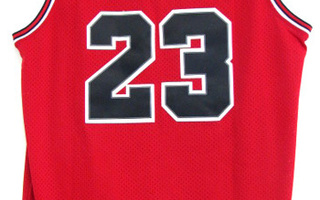 Chicago Bulls MICHAEL JORDAN #23 Red Jersey