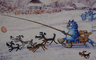 Irina Zeniuk koirat vetävät sinisen kissan rekeä