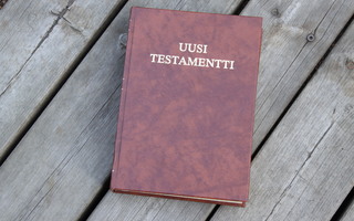 Aapeli Saarisalo Uusi testamentti #4