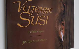 Jim Brandenburg : Veljemme susi : unohdettu lupaus