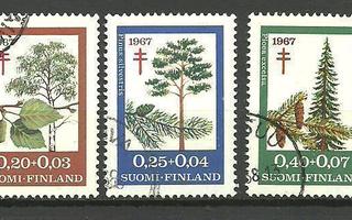 Tuberkuloosi-sarja puut 1967 - LaPe 623-625 o