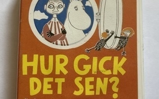 Hur gick det sen? muumikasetti