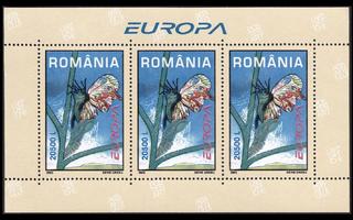 Romania 5735BL330 ** Europa julistetaide (2003)