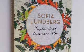 Sofia Lundberg : Tapaa minut tammen alla
