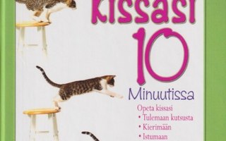 Miriam Fields-Babineau: Kouluta kissasi 10 minuutissa