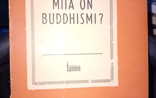 Lodge : Mitä on buddhismi ( SIS POSTIKULU  )