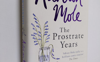 Sue Townsend : Adrian Mole : the prostrate years