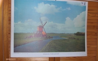 Opetustaulu: Holländische Polderlandschaft. Koko 54cm x 73cm