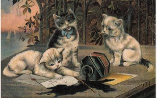 Kolme kissanpentua ja kaatunut mustepullo