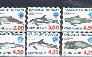 Grönlanti 1998 - Valaita (6)  ++