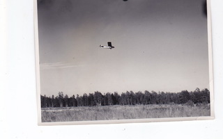 VANHA Valokuva Lentokone Liitokone YL-AAO Ilmassa 1934