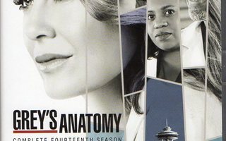 Greyn Anatomia Kausi 14	(55 632)	k	-FI-	nordic,	DVD	(6)		201