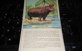 Virtahepo Hippo Taide n.1930 PK94