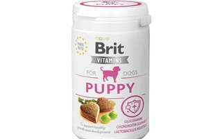 BRIT Vitamins Puppy for dogs - lisäravinne koira