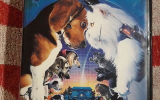 Kuin kissat ja koirat (Cats & Dogs) dvd